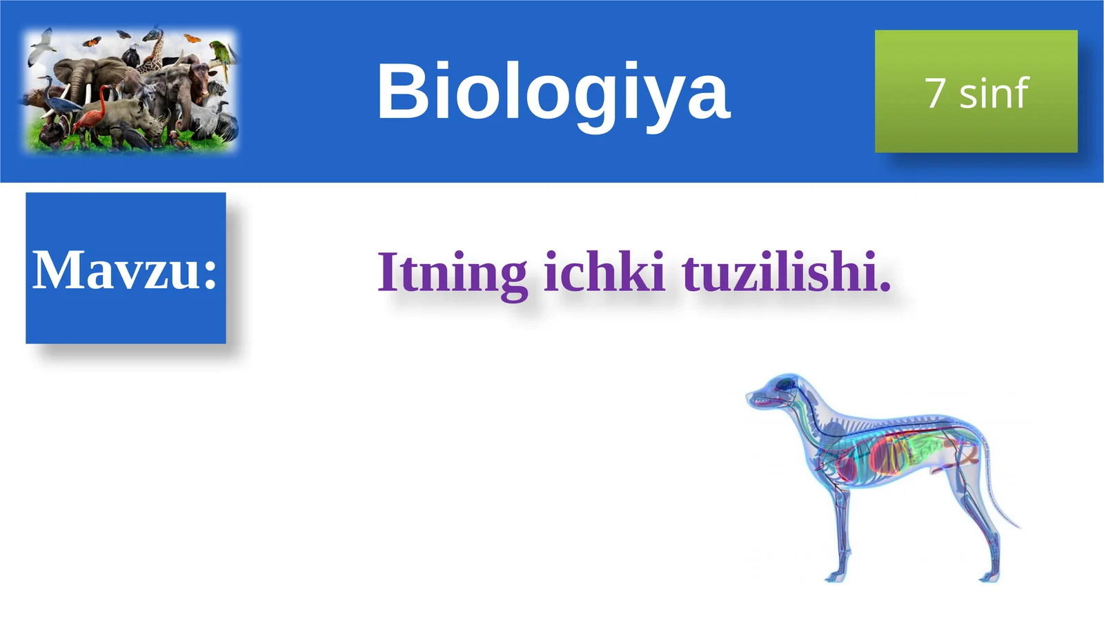 Itningichkituzilishi - Biologiya 7sinf DARS REJASI
