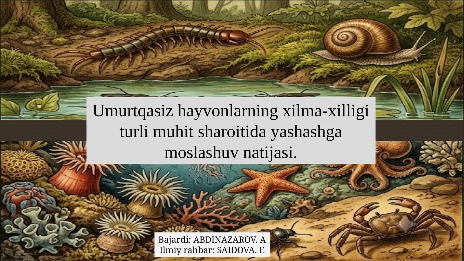 Umurtqasiz hayvonlarning xilma-xilligi turli muhit sharoitida yashashga moslashuv natijasi.
