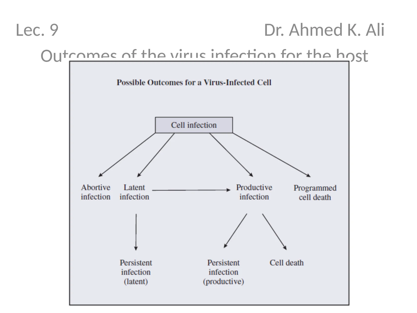 Outcomes of the virus infection for the host