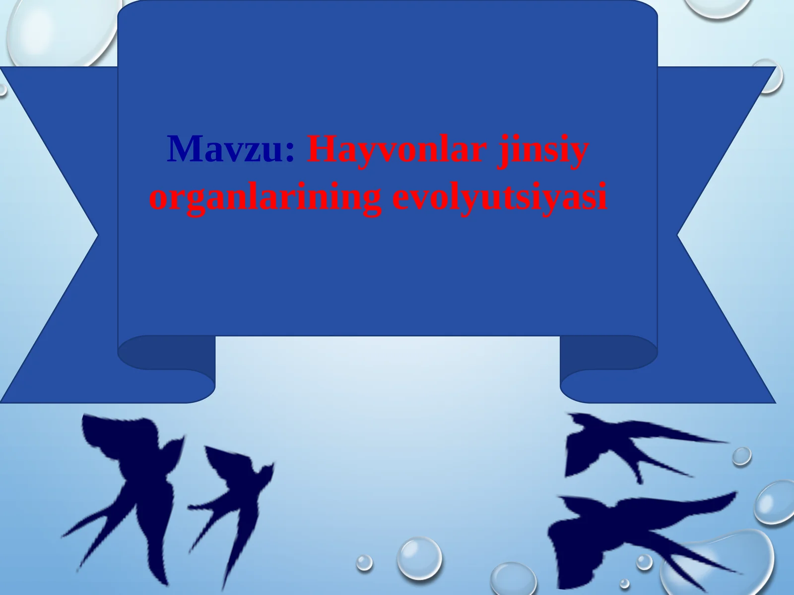 Hayvonlar jinsiy organlarining evolyutsiyasi