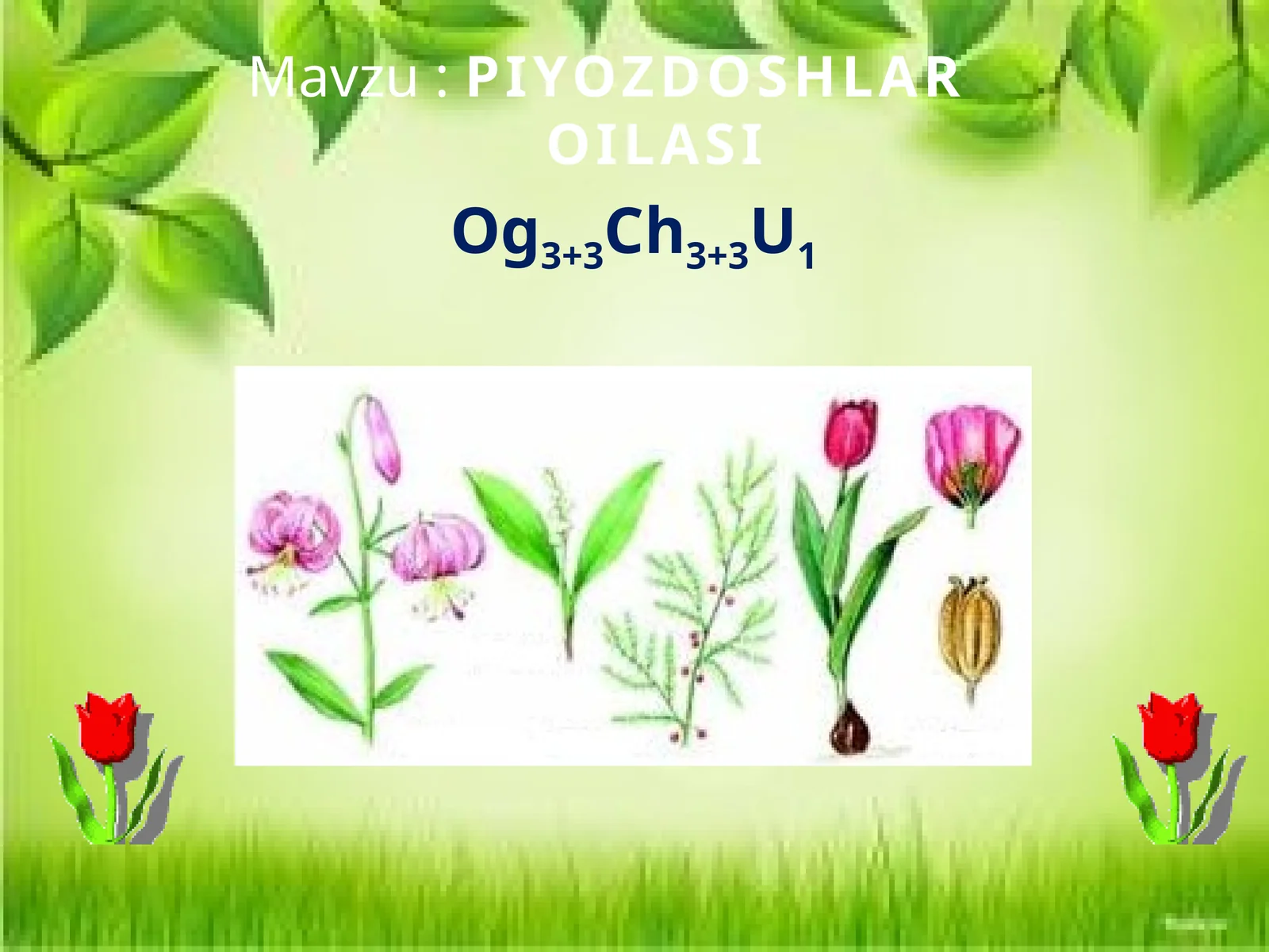 PIYOZDOSHLAR