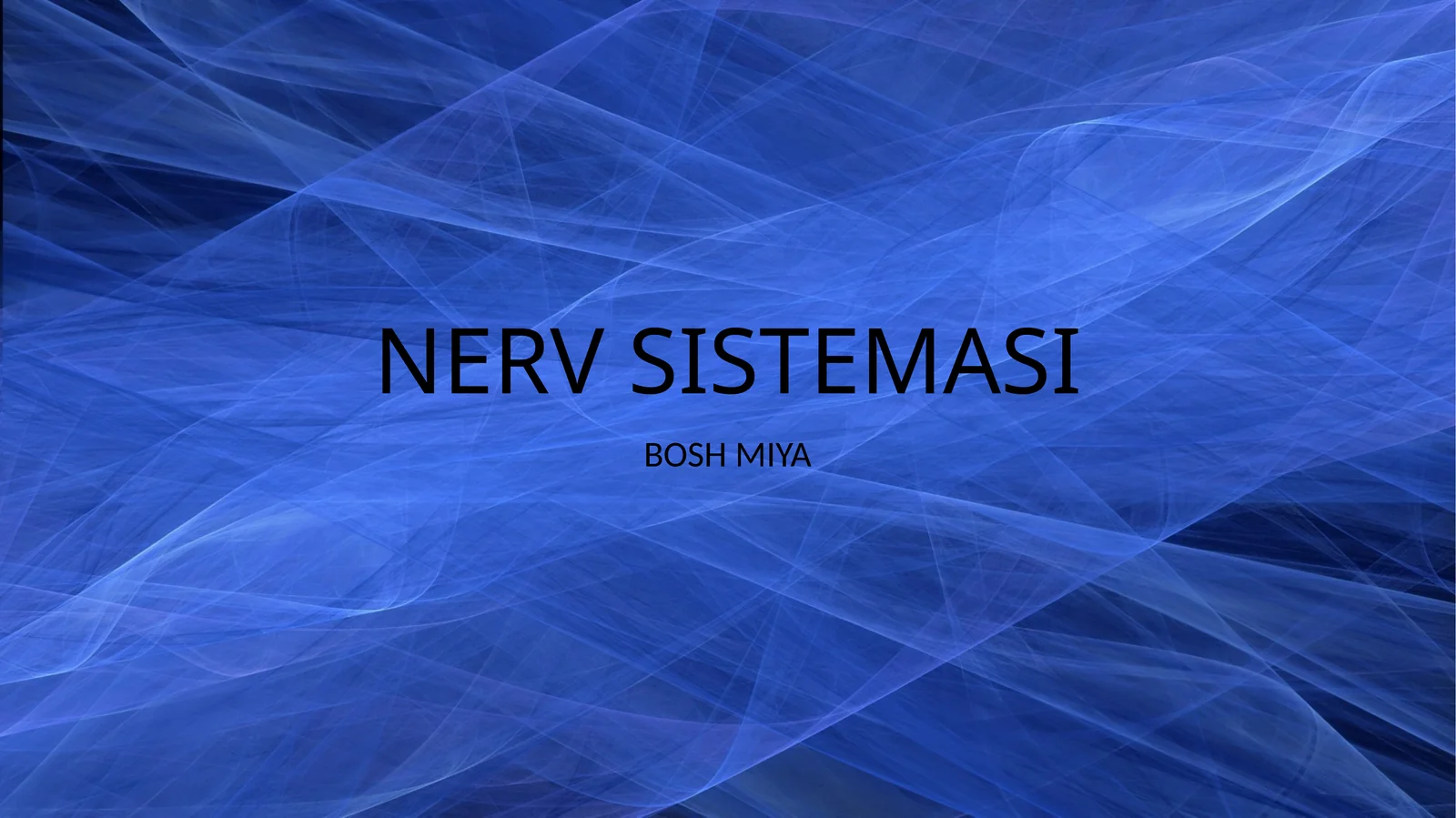 NERV SISTEMASI