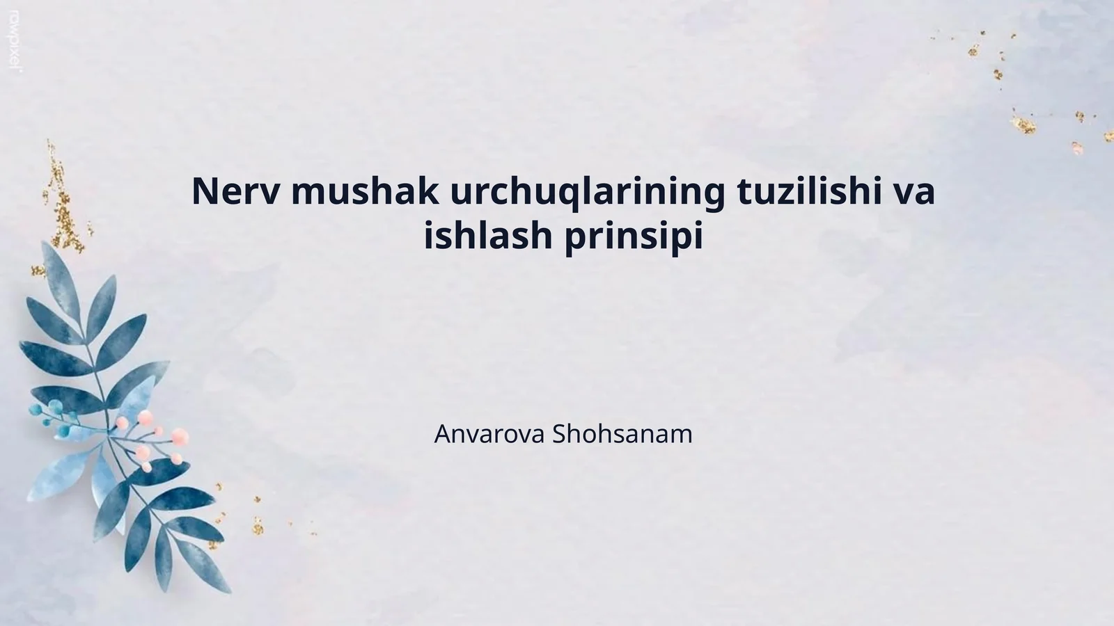 Nerv mushak urchuqlarining tuzilishi va ishlash prinsipi