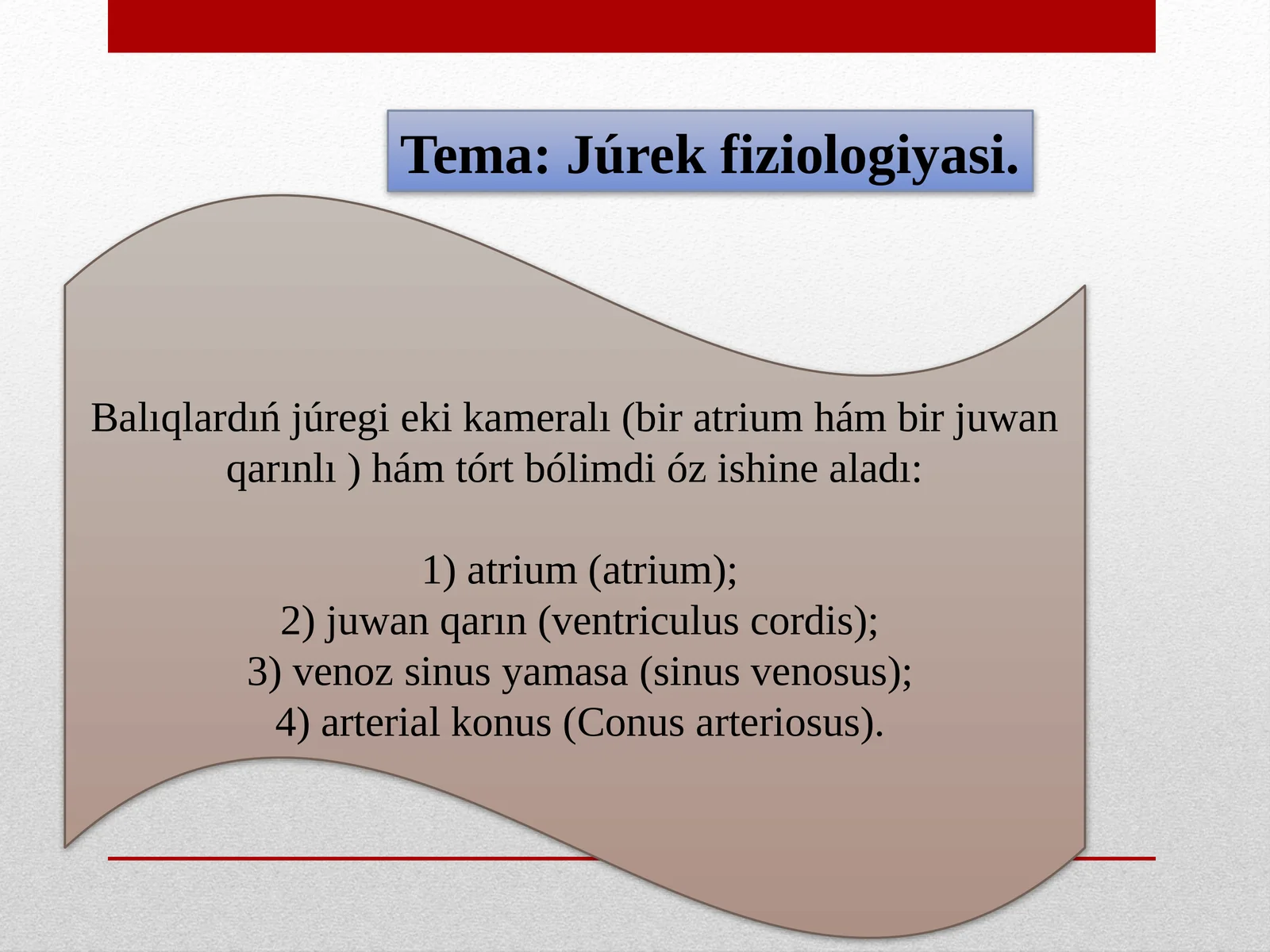 Júrekfiziologiyasi