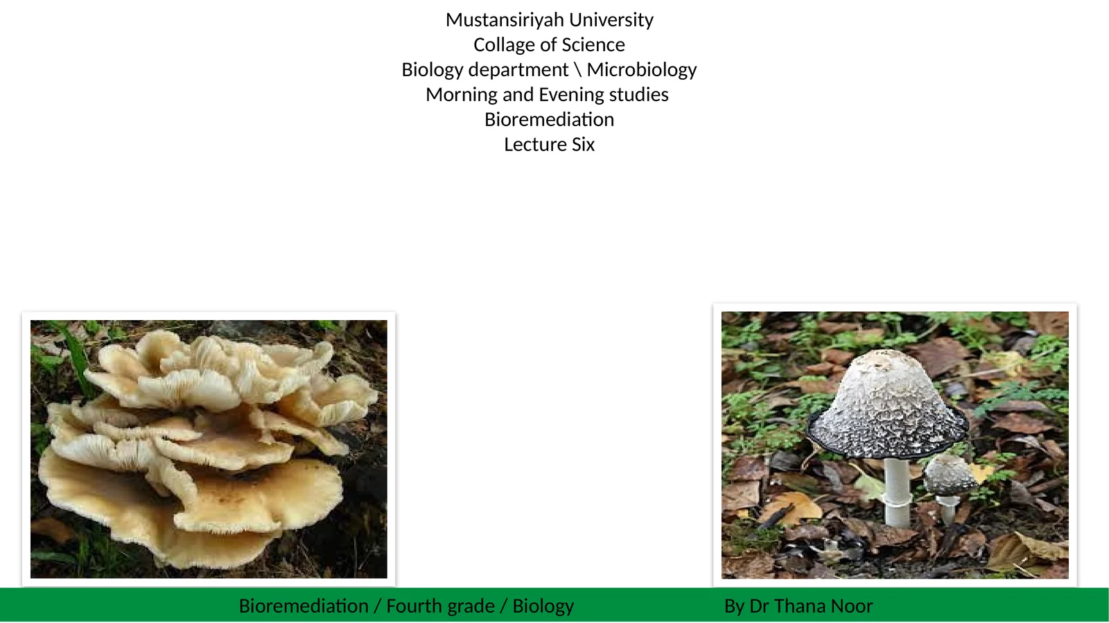 Bioremediation
