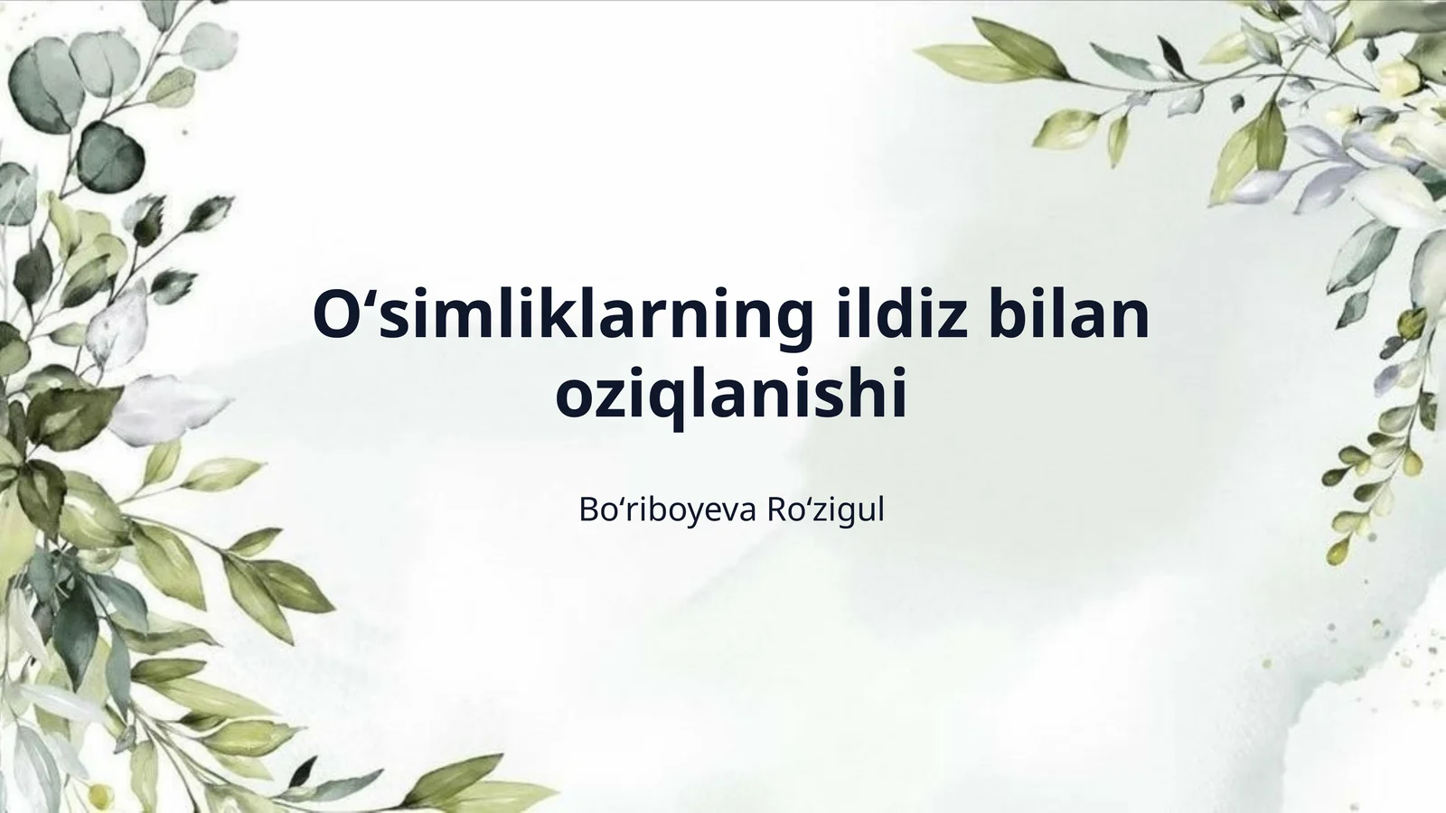 Oʻsimliklarning ildiz bilan oziqlanishi