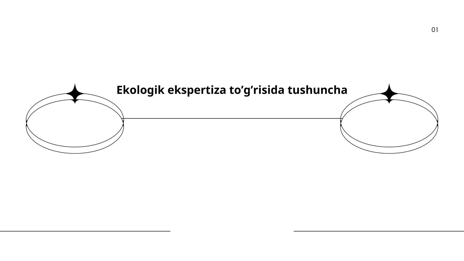 Ekologik ekspertiza