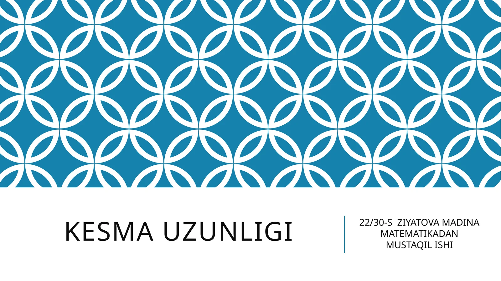 22/30-S ZIYATOVA MADINA MATEMATIKADAN MUSTAQIL ISHI