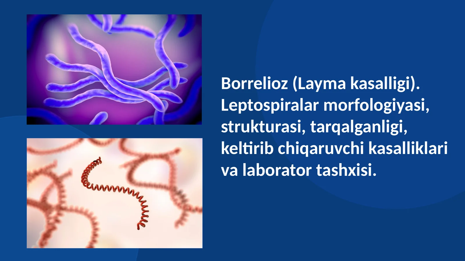 Borrelioz (Layma kasalligi). Leptospiralar morfologiyasi, strukturasi, tarqalganligi, keltirib chiqaruvchi kasalliklari va laborator tashxisi