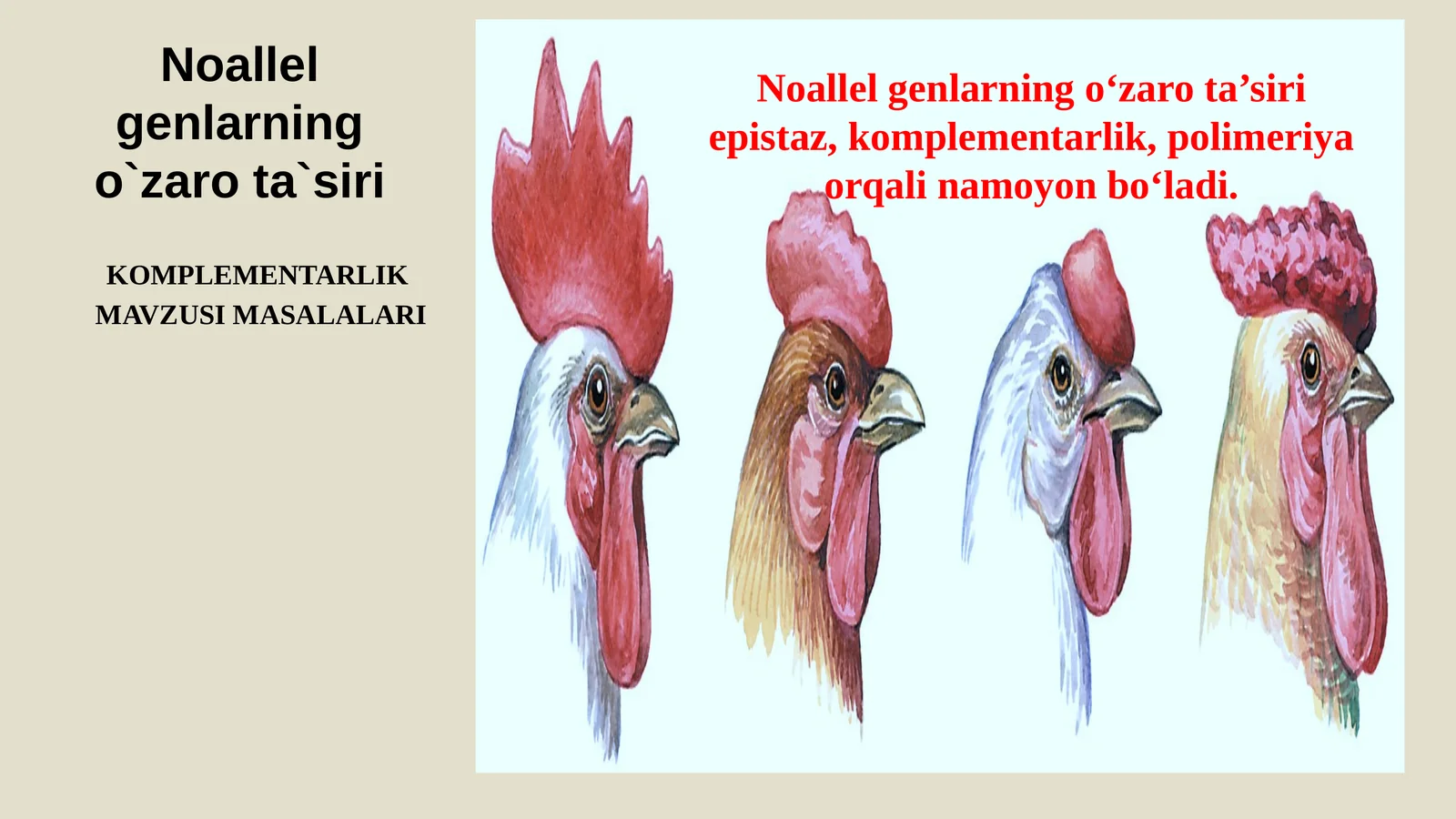 Komplementar ta`sirga oid masalalar