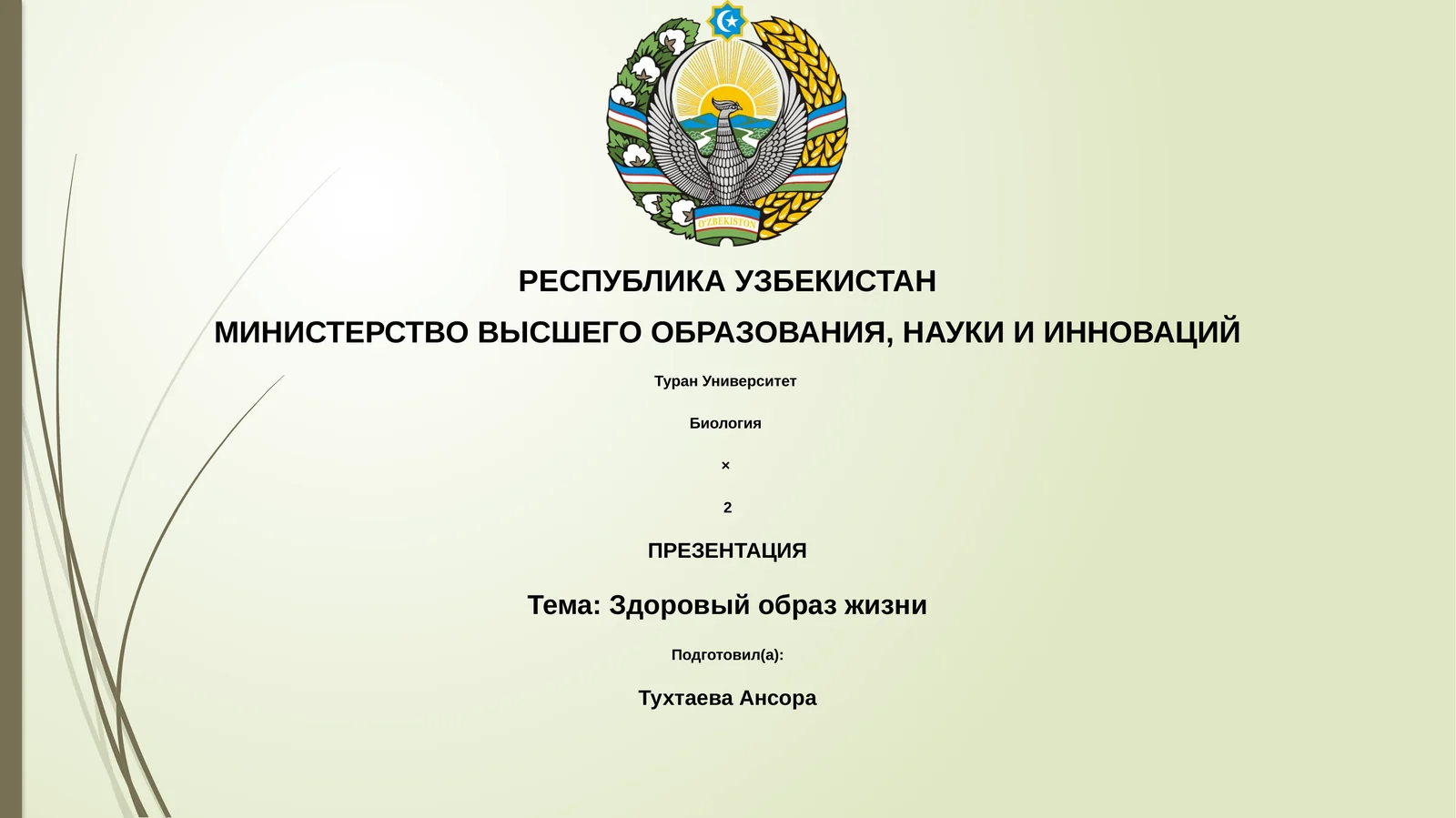 Здоровый образ жизни