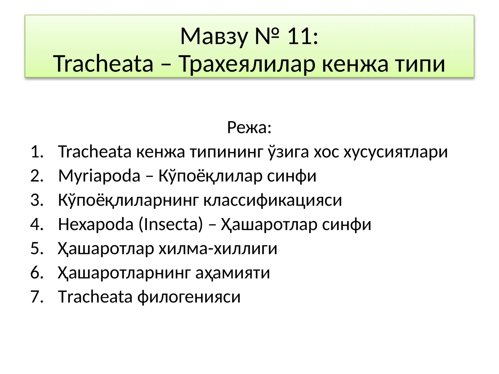 Tracheata – Трахеялилар кенжа типи
