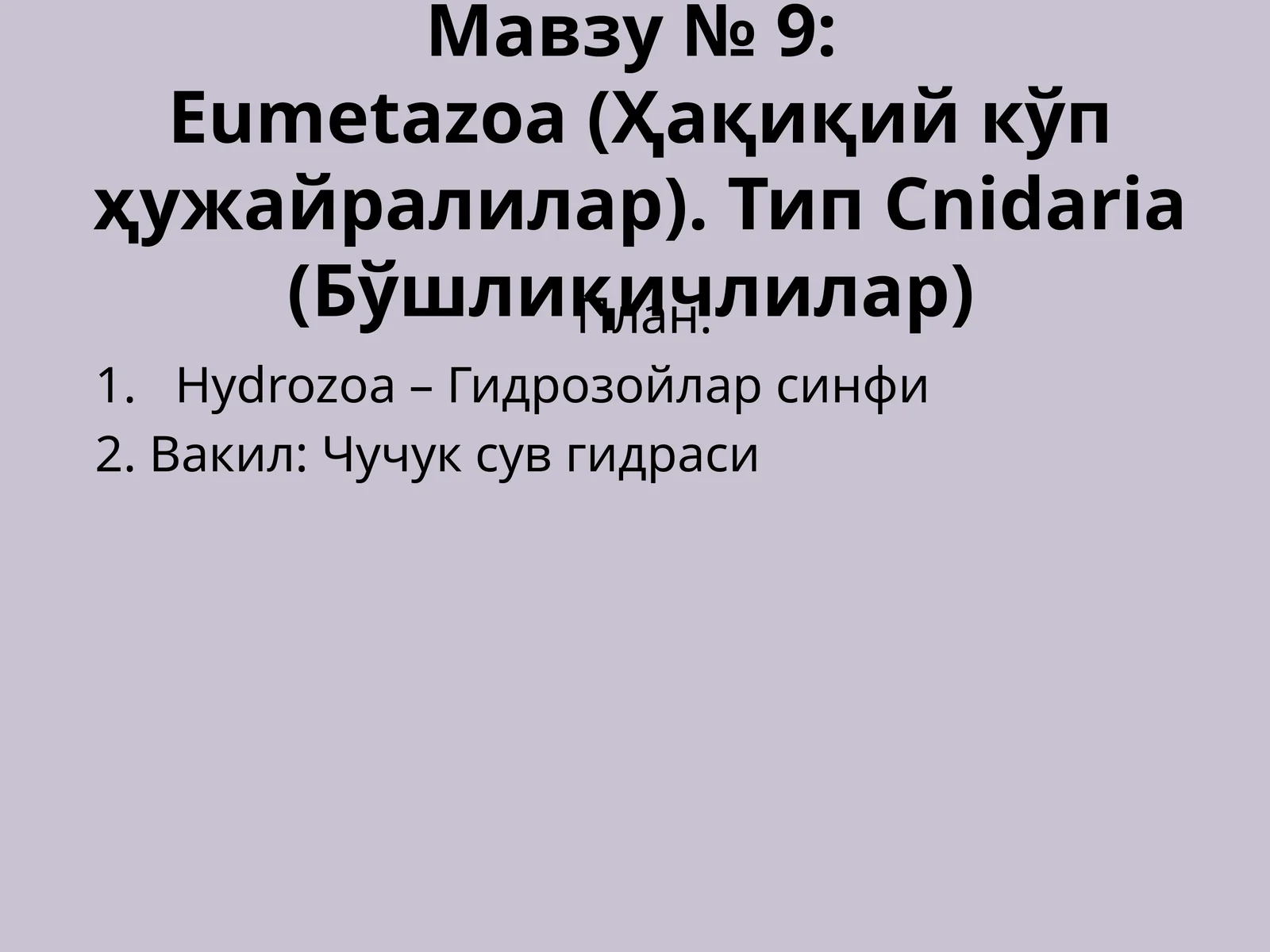 Eumetazoa (Ҳақиқий кўп ҳужайралилар). Тип Cnidaria (Бўшлиқичлилар)