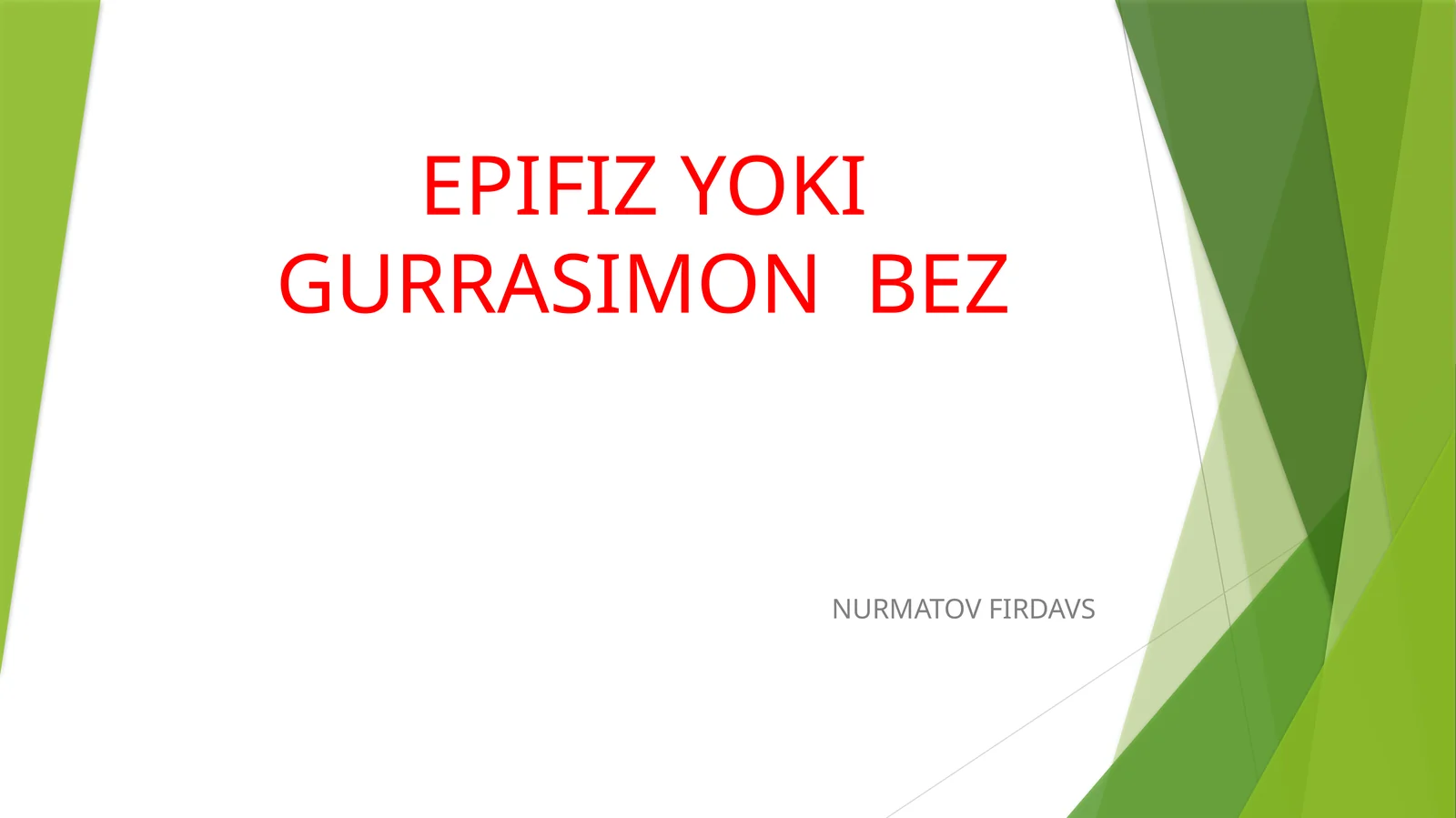 EPIFIZ YOKI GURRASIMON BEZ