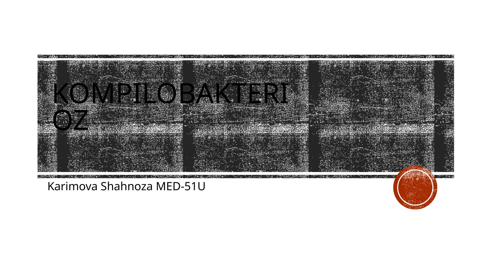 Kompilobakterioz