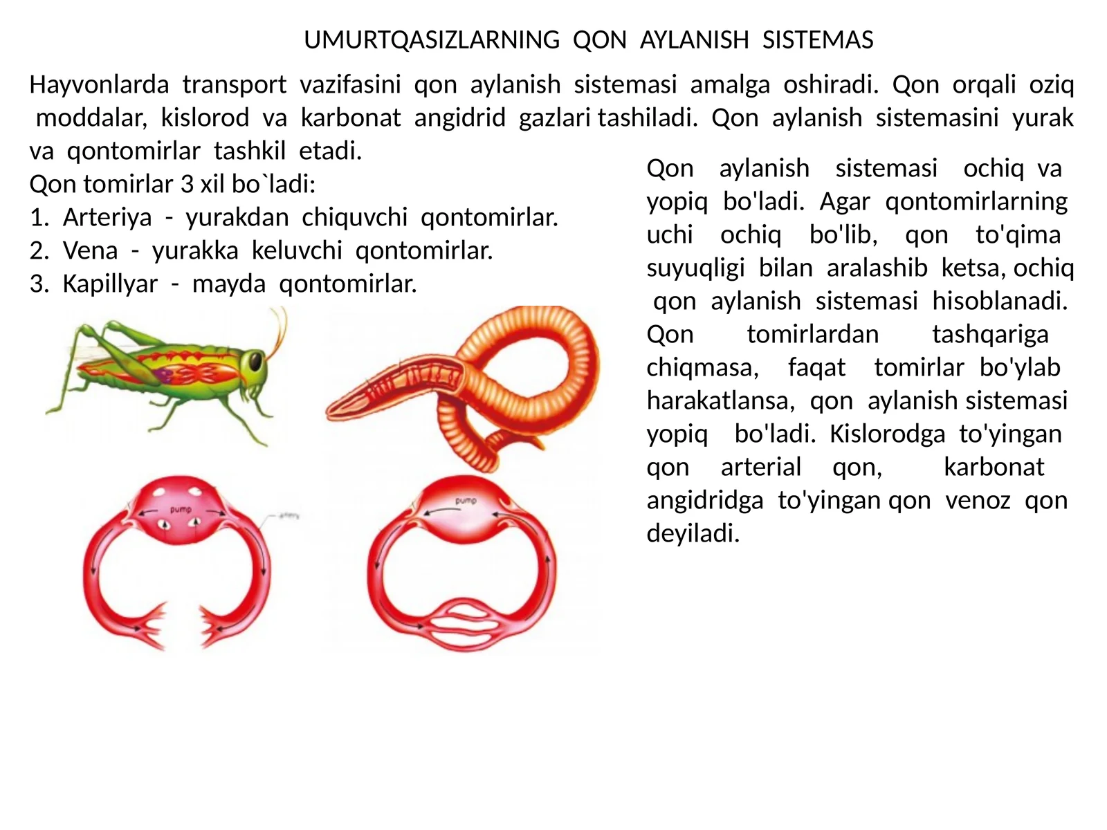 Umurtqasizlarning qon aylanish sistemasi