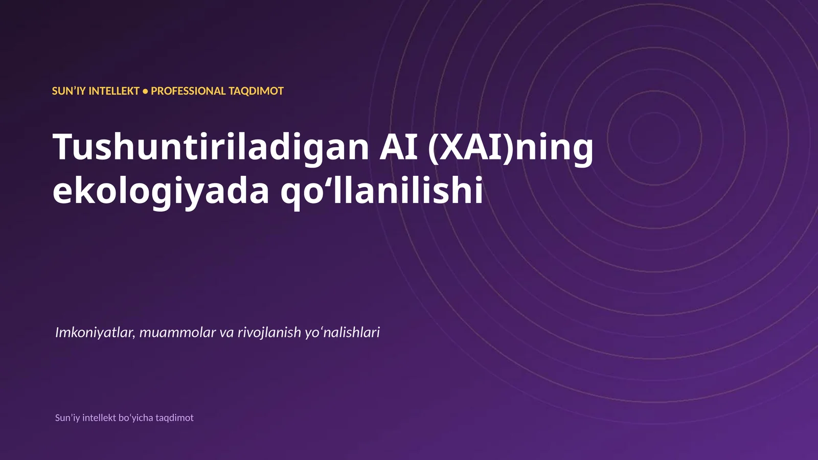 Sun'i y intellekt • Professional taqdimot