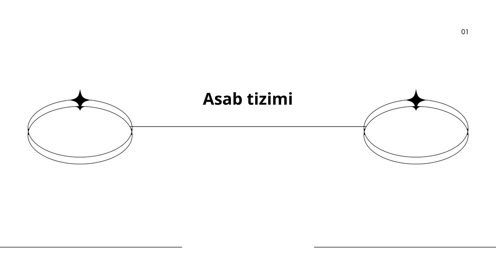 Asab tizimi