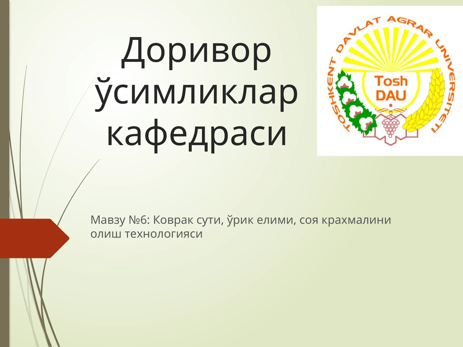 Коврак сути, ўрик елими, соя крахмалини олиш технологияси