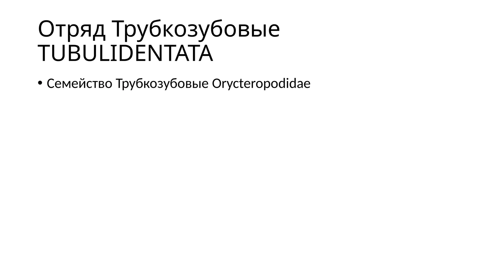 Трубкозубовые