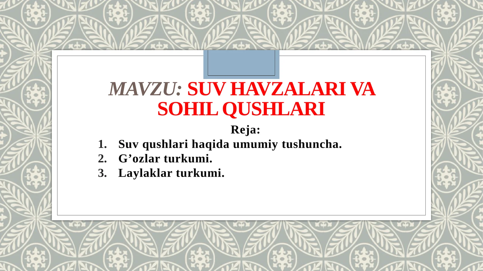 Suvhavzalarivasohilqushlari
