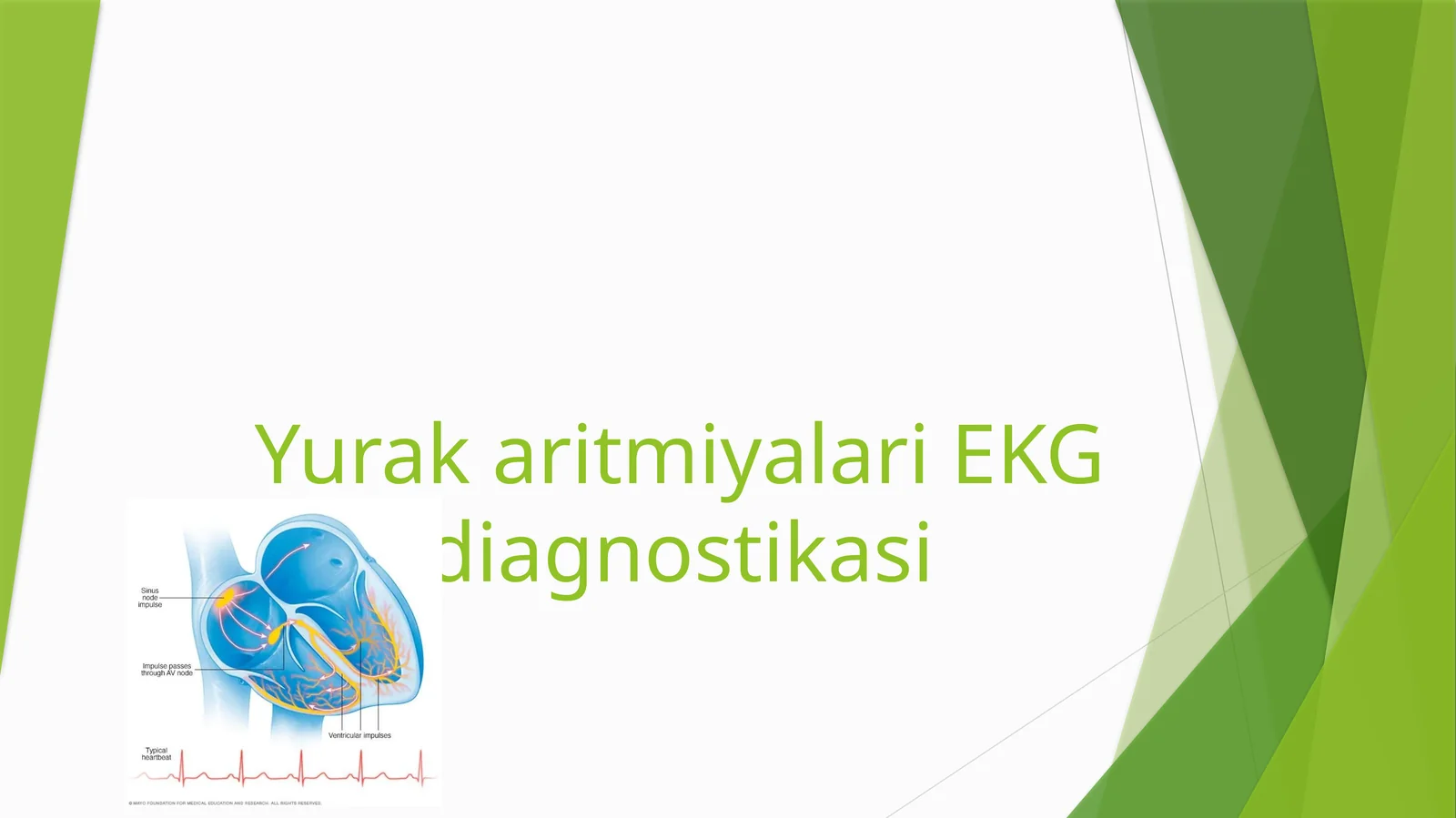 YurakaritmiyalariEKG diagnostikasi