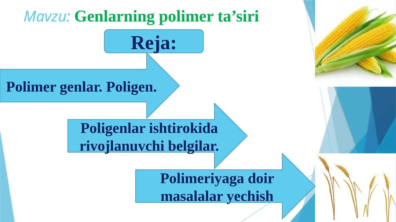 Genlarning polimer ta'siri