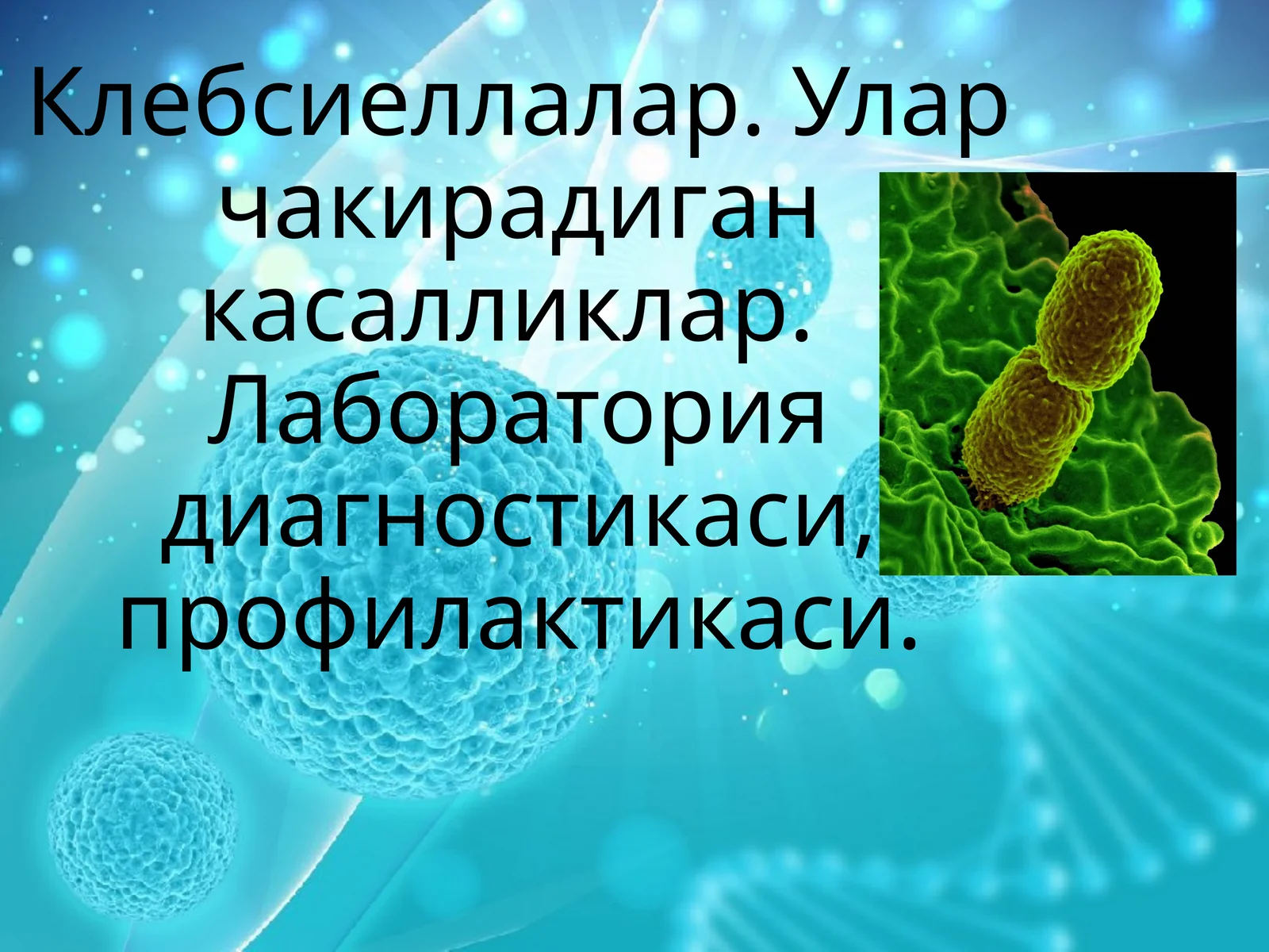 Klebsiella bakteriyalari(mikrobiologiya)