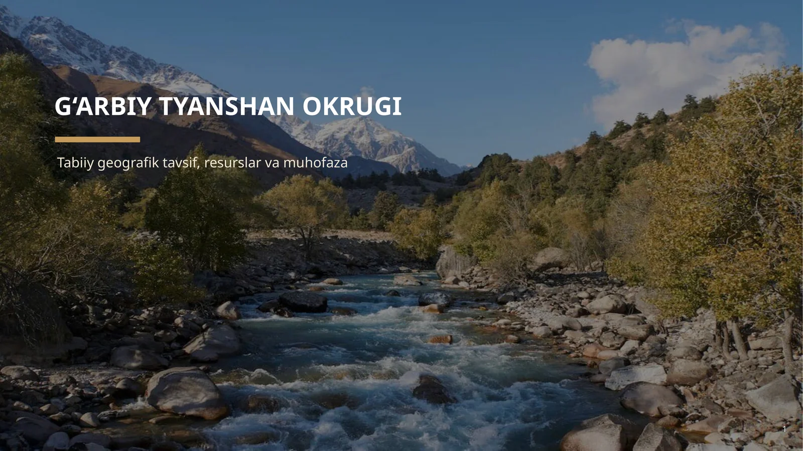 G‘ARBIY TYANSHAN OKRUGI