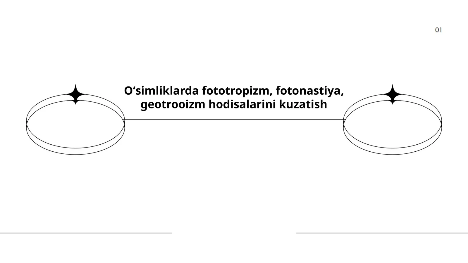 Oʻsimliklarda fototropizm, fotonastiya, geotrooizm hodisalarini kuzatish