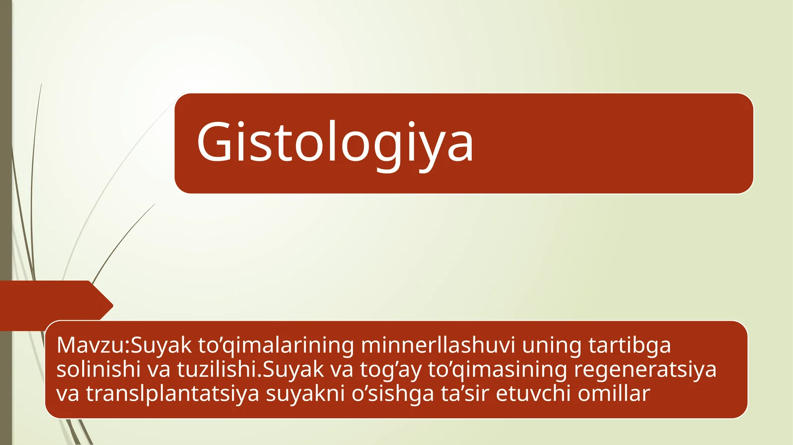 Suyak to’qimalarining minnerllashuvi uning tartibga solinishi va tuzilishi.Suyak va tog’ay to’qimasining regeneratsiya va translplantatsiya suyakni o’sishga ta’sir etuvchi omillar