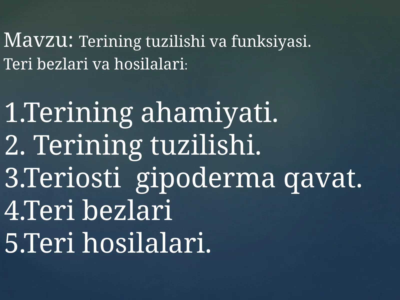 Terining tuzilishi va funksiyasi