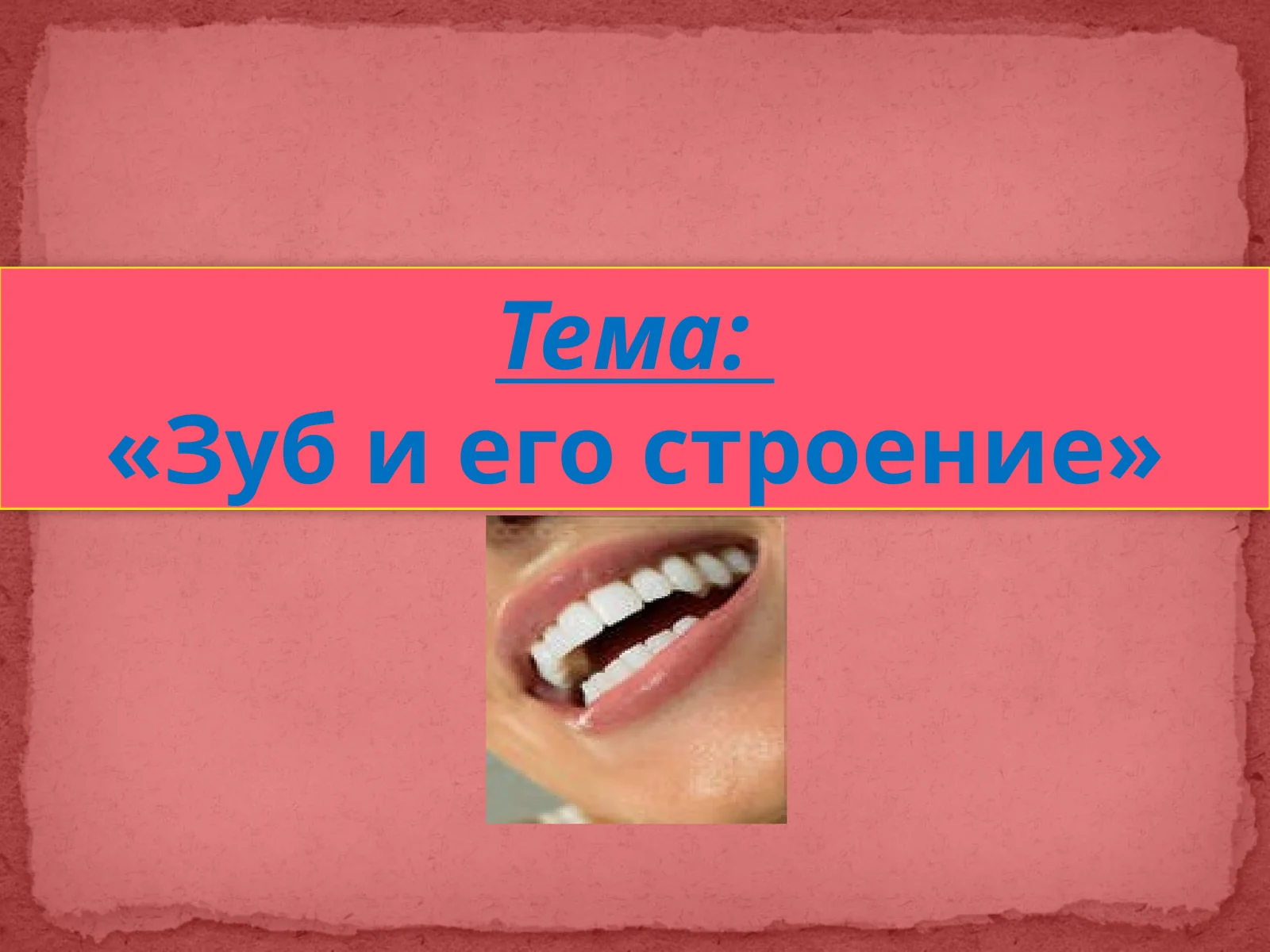 Зуб и его строение