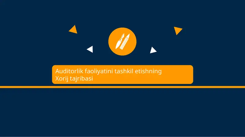 Auditorlik faoliyatini tashkil etishning Xorij tajribasi