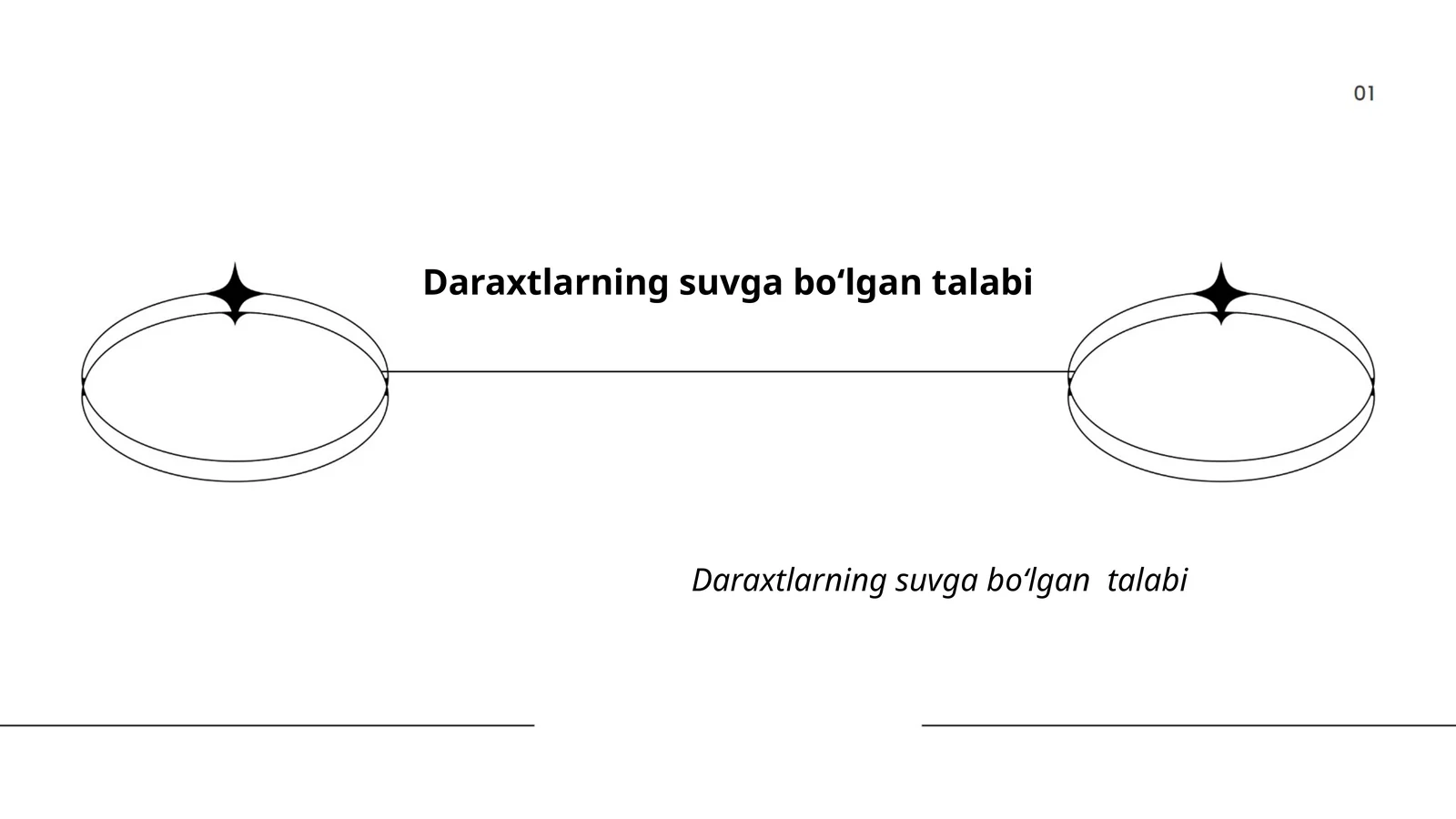 Daraxtlarning suvga boʻlgan talabining biologik asoslari
