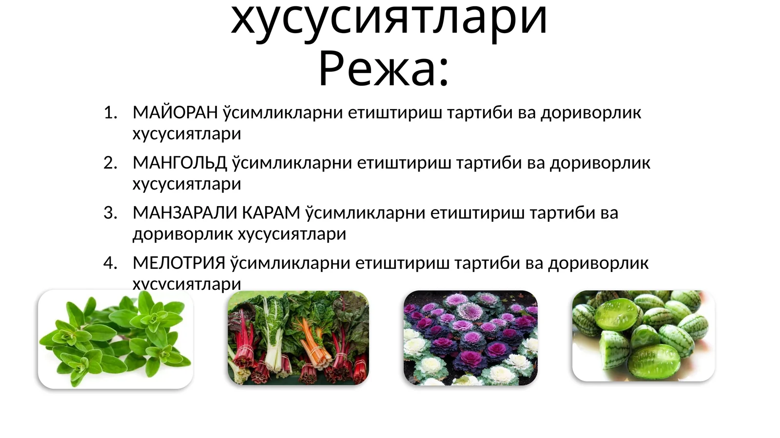 Маъруза-4