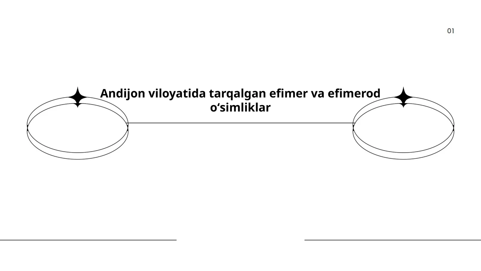 Andijon viloyatida tarqalgan efimer va efimerod oʻsimliklar