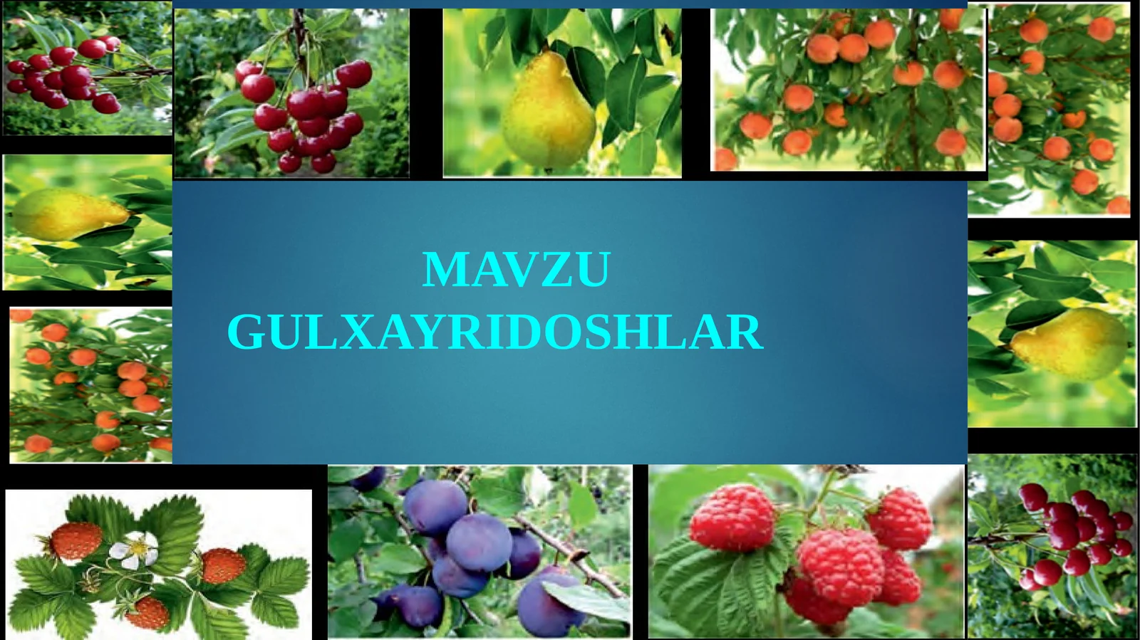 GULXAYRIDOSHLAR