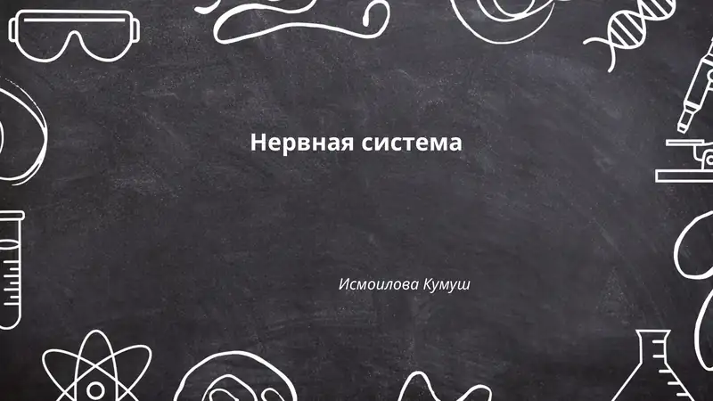 Нервная система
