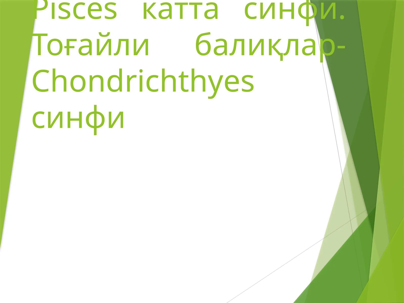 Тоғайли балиқлар-Pisces катта синфи