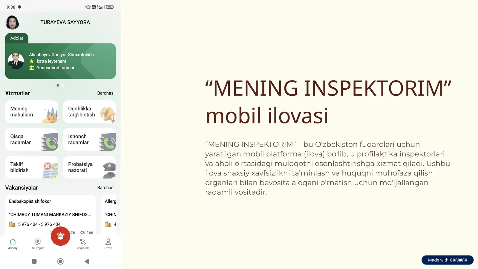 MENING INSPEKTORIM