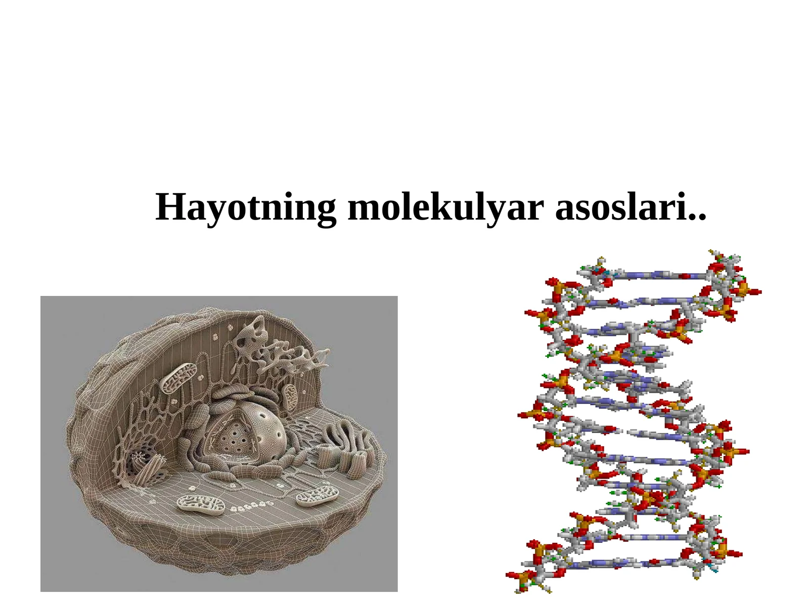Hayotning molekulyar asoslari