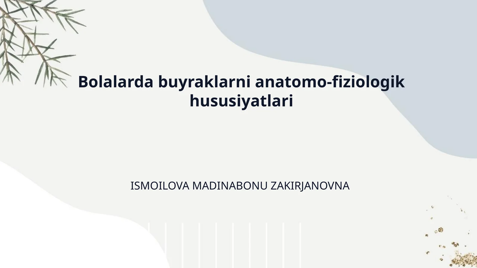 Bolalarda buyraklarni anatomo-fiziologik hususiyatlari