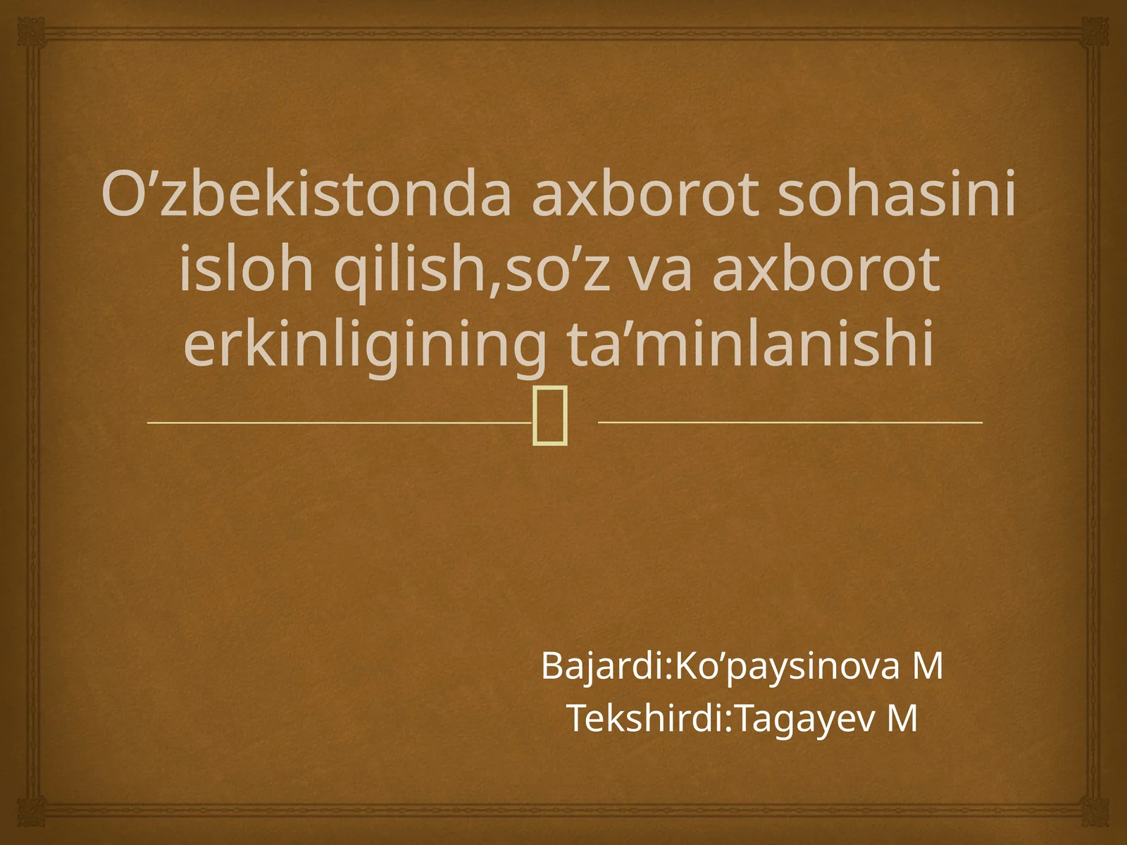 Ommaviy axborot vositalari