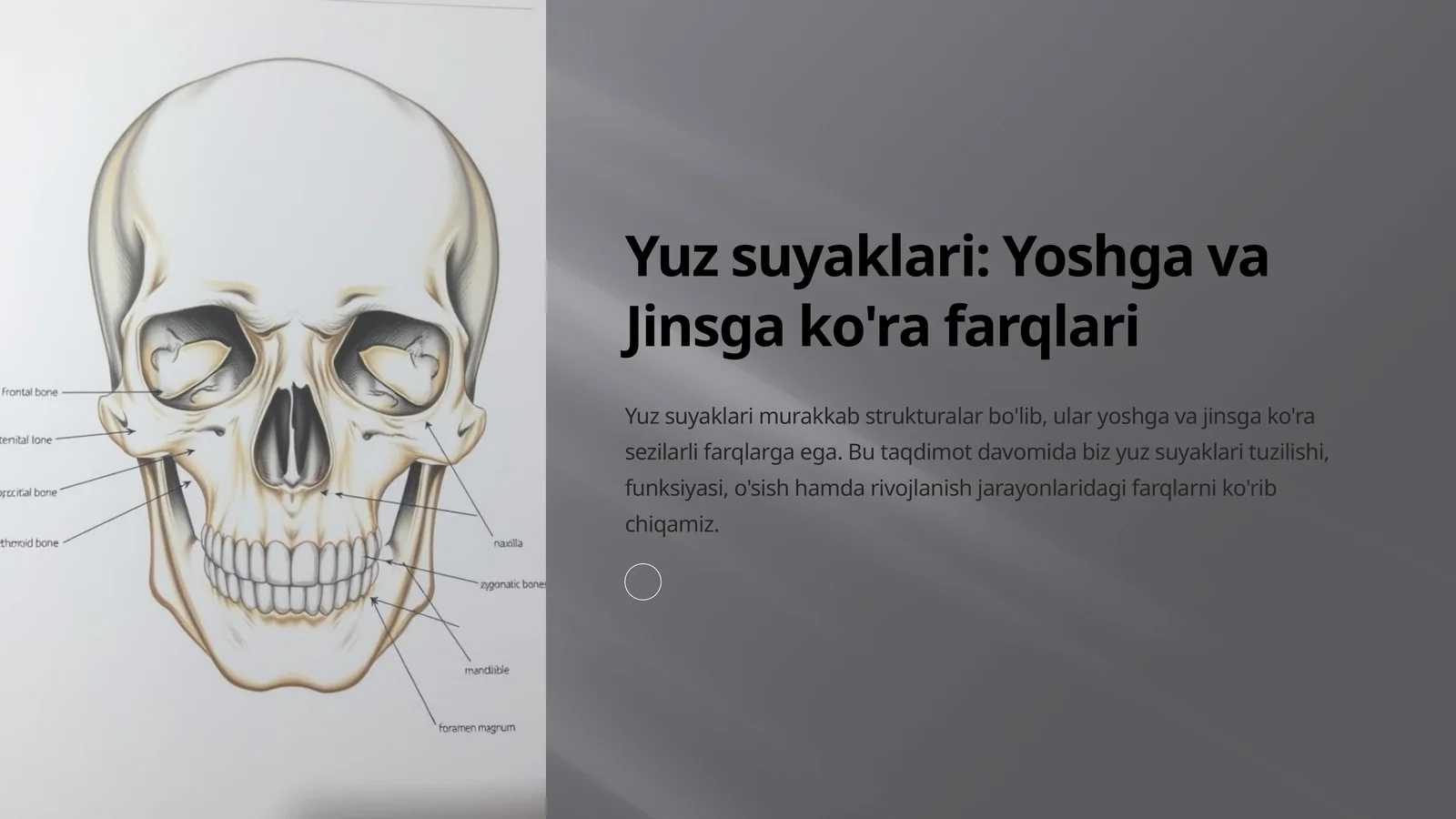 Yuz suyaklari: Yoshga va Jinsga ko'ra farqlari