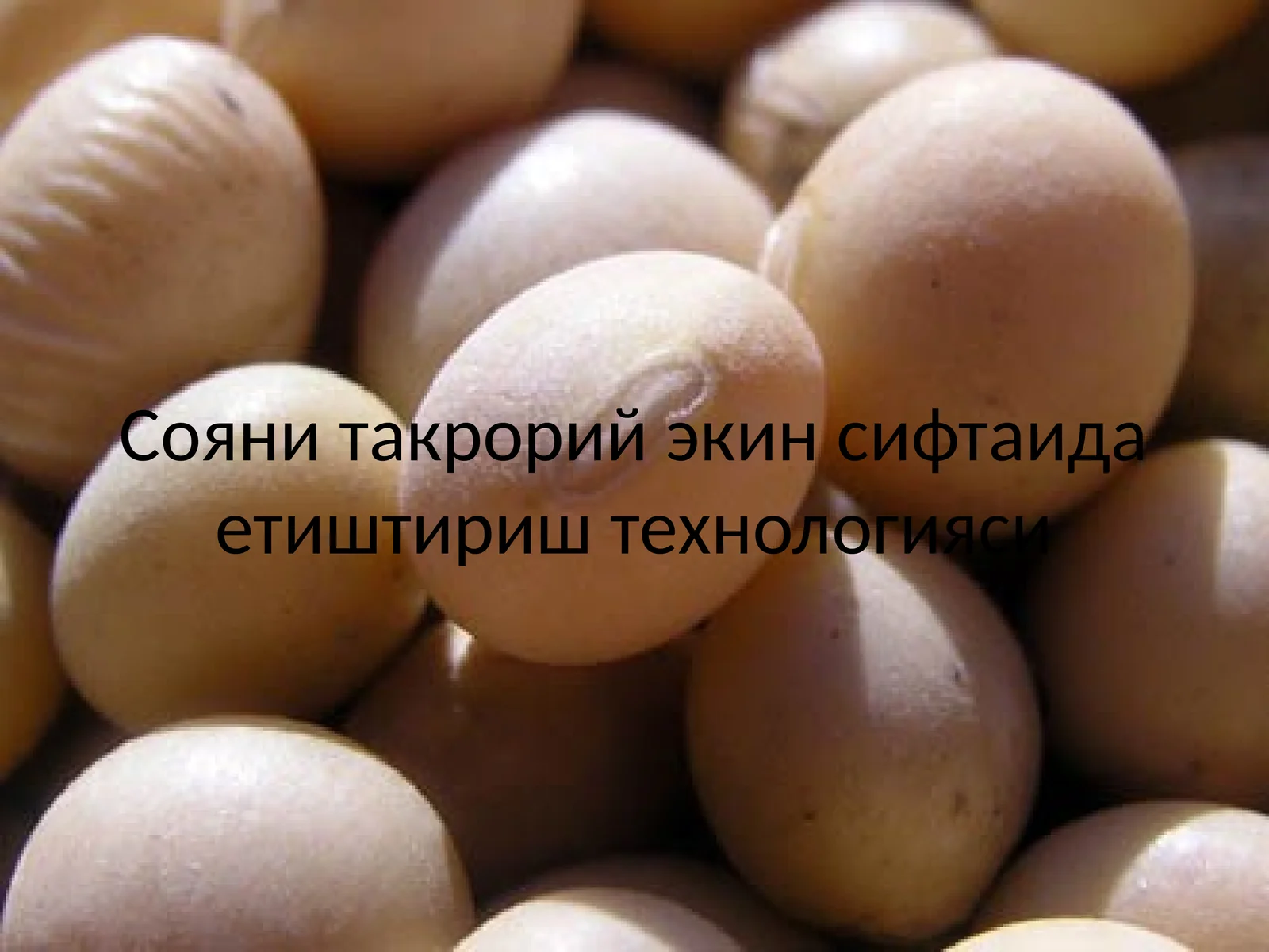 Сояни такрорий экин сифтаида етиштириш технологияси