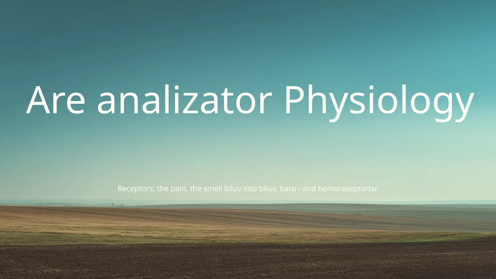 Analizator system