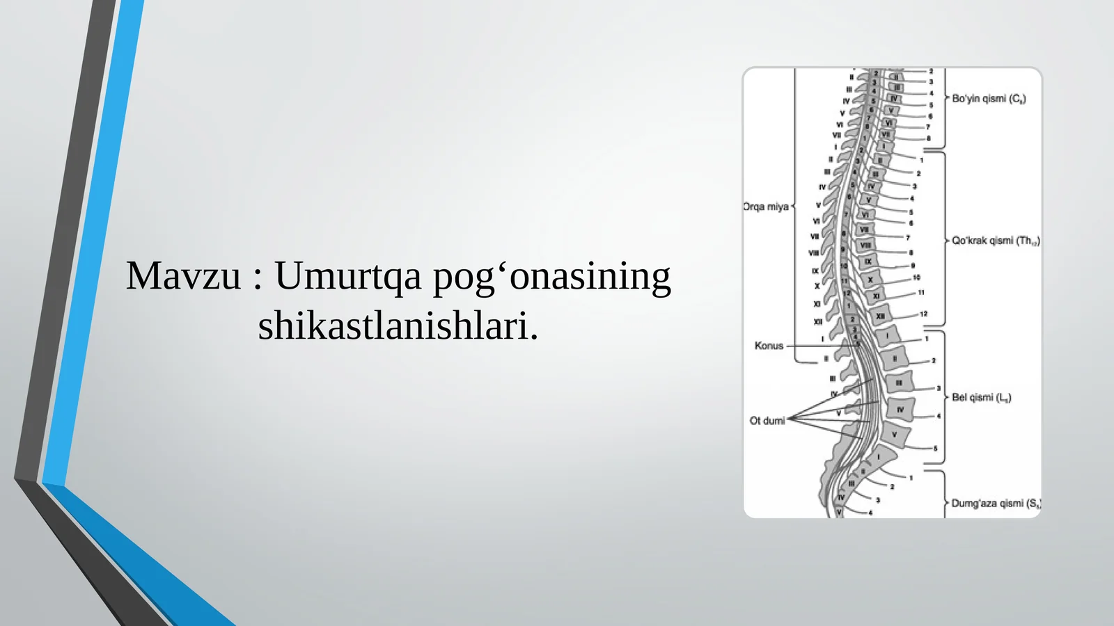 Umurtqa pog‘onasining shikastlanishlari