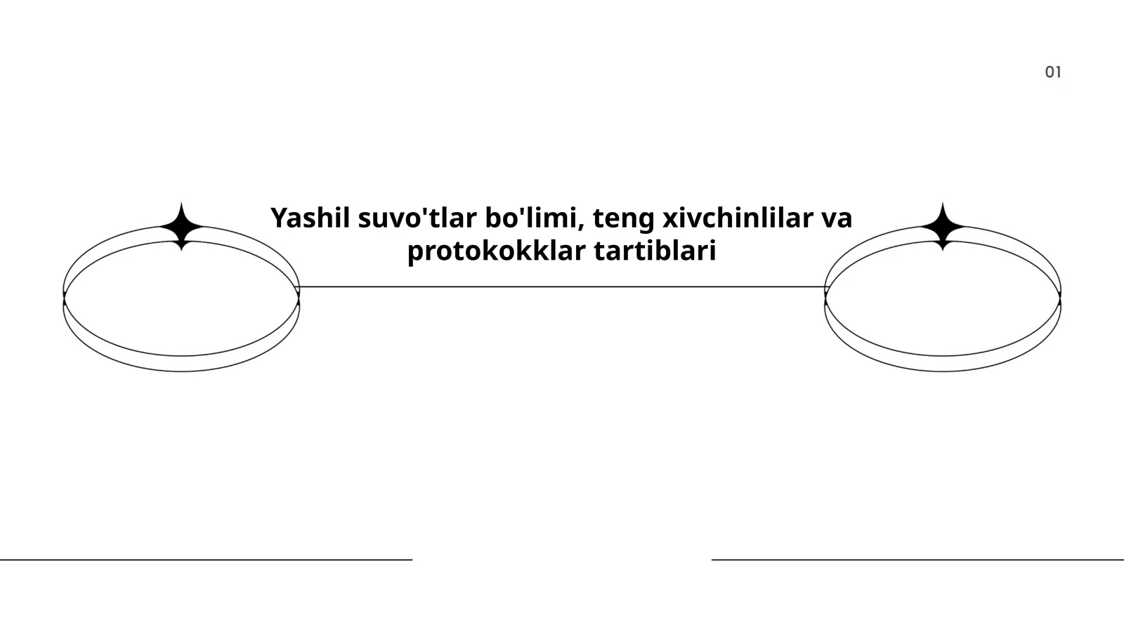 Yashil suvo'tlar bo'limi, teng xivchinlilar va protokokklar tartiblari