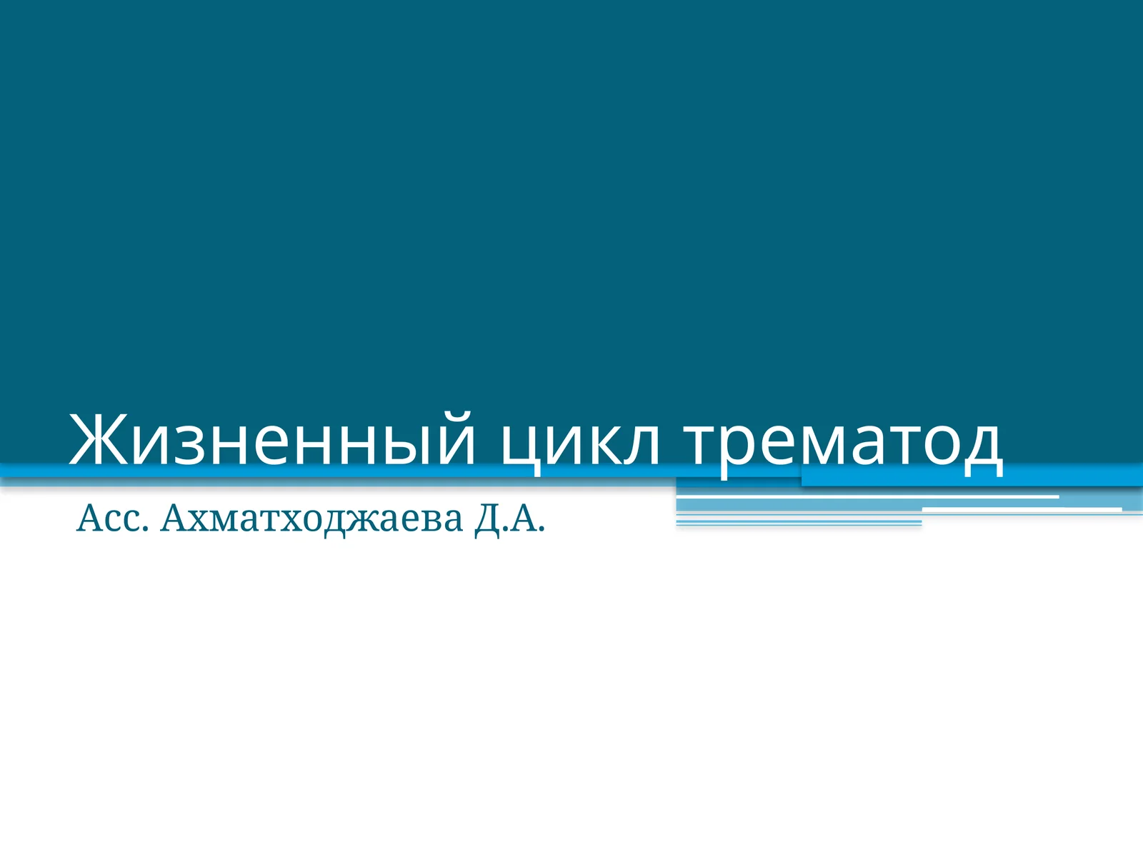 Жизненный цикл трематод